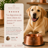 BIEN-ÊTRE ANIMAL — ÉCUELLE EN CUIVRE PUR ARTISANAL