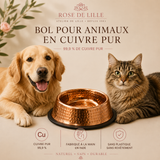 BIEN-ÊTRE ANIMAL — ÉCUELLE EN CUIVRE PUR ARTISANAL