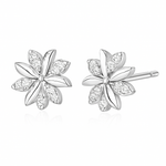 BOUCLES D'OREILLES | OR BLANC