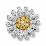 Daisy