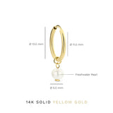 Delia Crest Earrings | Gold