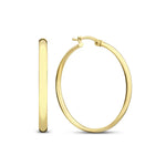 BOUCLES D'OREILLES | OR