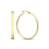 BOUCLES D'OREILLES | OR