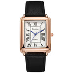 Daevric Royal Dial Watch