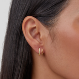 Claw Crystal - Earrings
