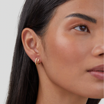 Claw Crystal - Earrings