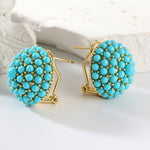 BOUCLES D'OREILLES ÉLÉGANT PALAIS TURQUOISE GRAPPE CLOU D'OREILLE