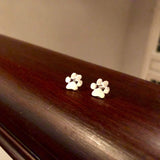 Hypoallergenic paw earrings