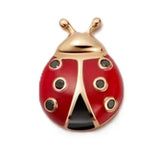 Ladybird