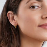 Luna Twist Earrings - Gold