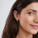 Luna Twist Earrings - Gold